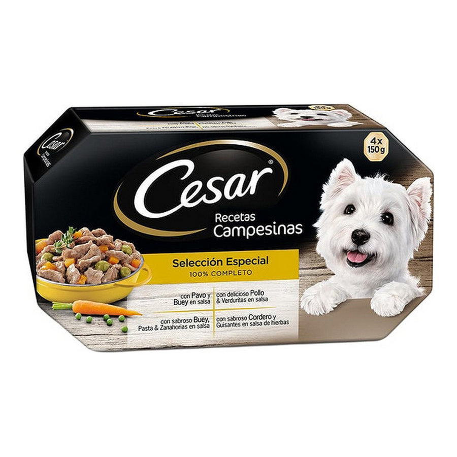 Nassfutter Cesar (4 x 150 g)