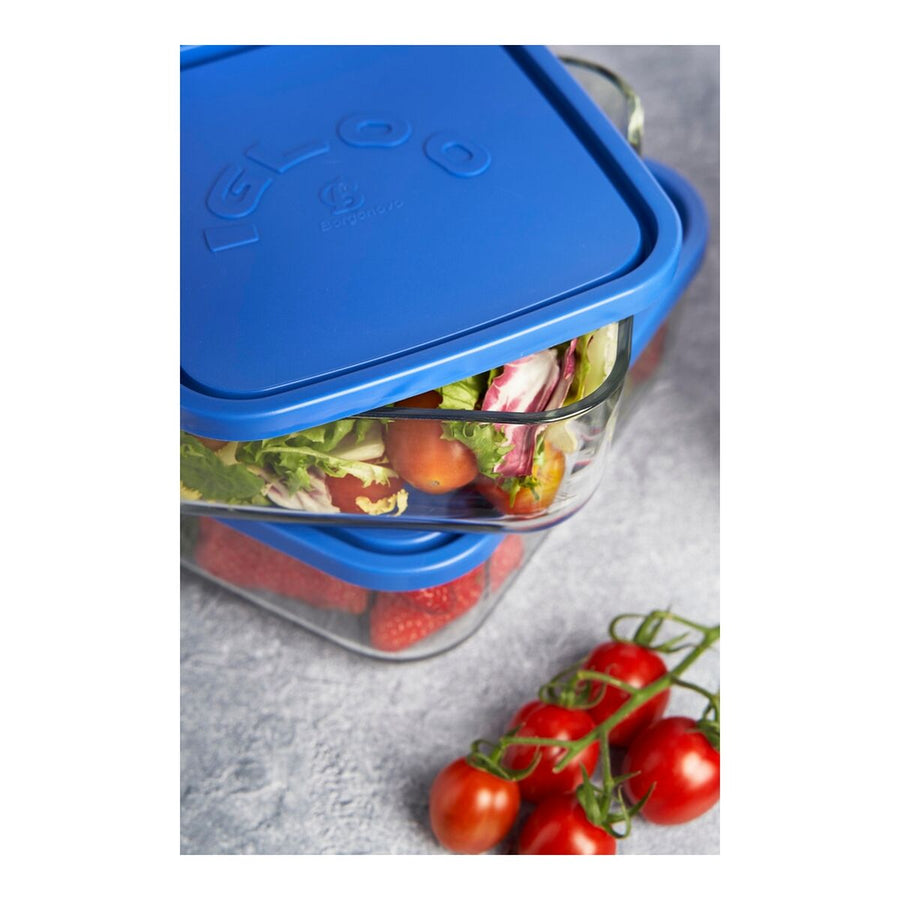 Lunchbox Borgonovo Igloo Blau