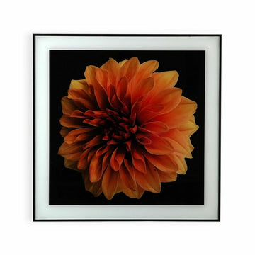 Bild Versa Blume Kristall polystyrol (2 x 60 x 40 cm)