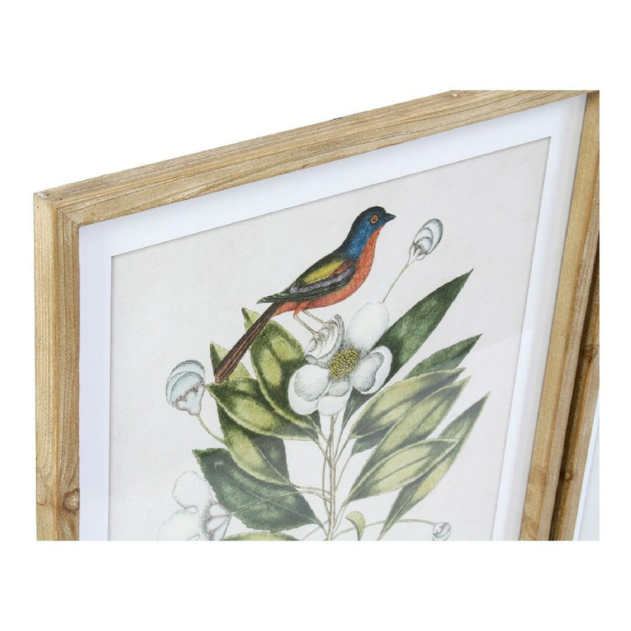 Bild DKD Home Decor Bird Tropical Vögel (55 x 2,5 x 70 cm) (4 Stück)