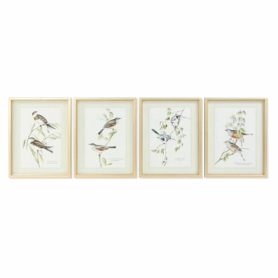 Bild DKD Home Decor Traditionell Vögel (35 x 2,5 x 45 cm) (4 Stück)