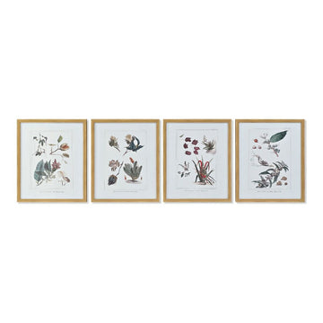 Bild DKD Home Decor S3013715 Leinwand Blomster (43 x 3 x 53 cm) (4 Stück)