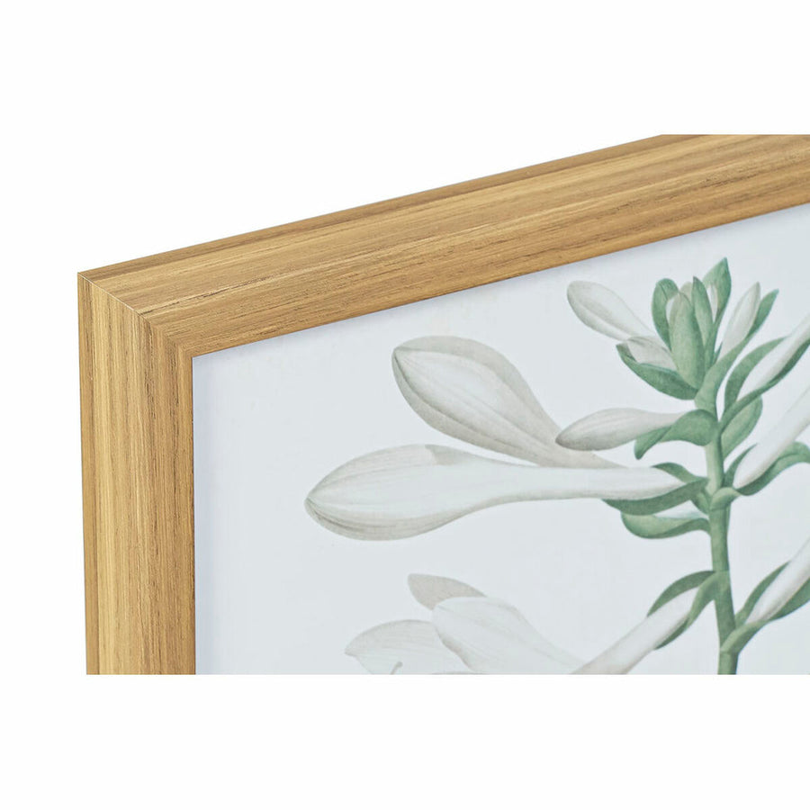 Bild DKD Home Decor Blomster (43 x 3 x 53 cm) (2 Stück)