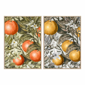 Bild DKD Home Decor Obst (53 x 4,5 x 73 cm) (2 Stück)