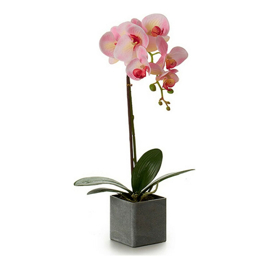 Dekorationspflanze Orchidee (15 x 43 x 18 cm)