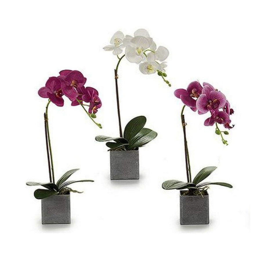 Dekorationspflanze Orchidee (15 x 43 x 18 cm)