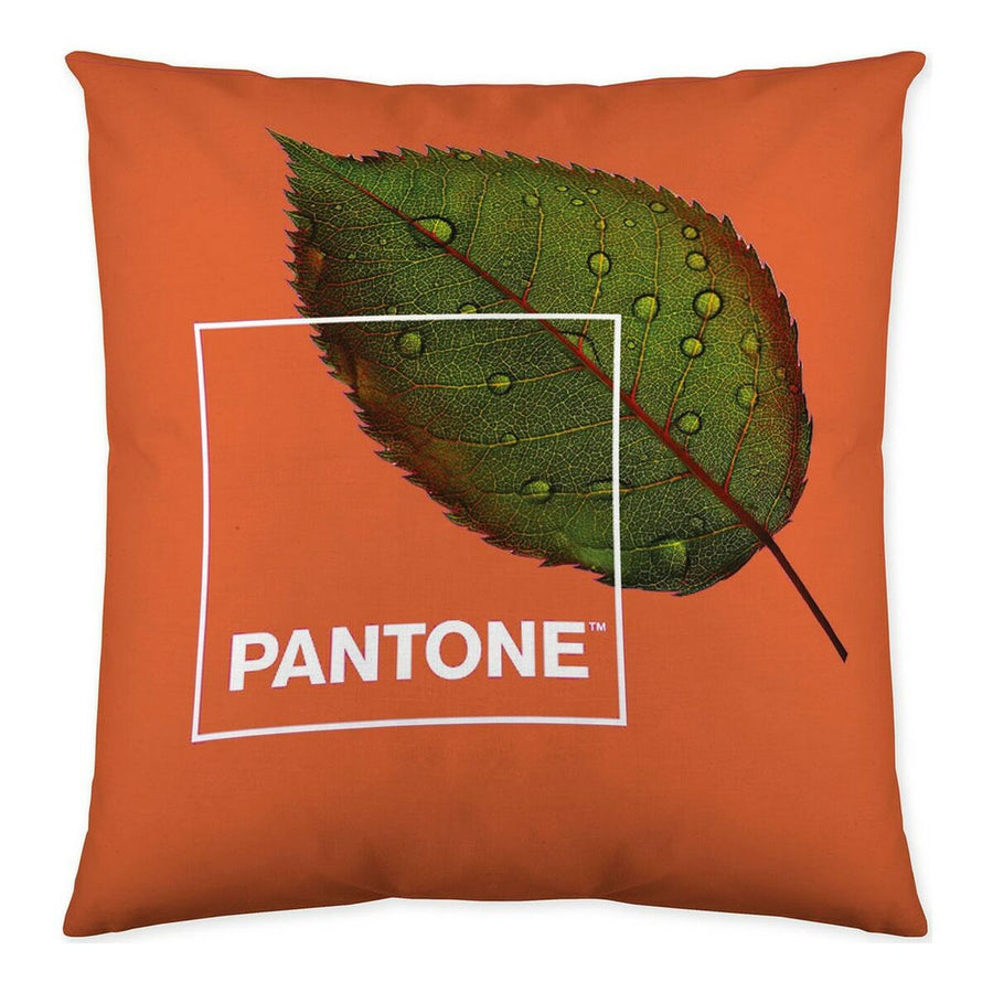 Kissenbezug Nature Pantone Reversibel (50 x 50 cm)