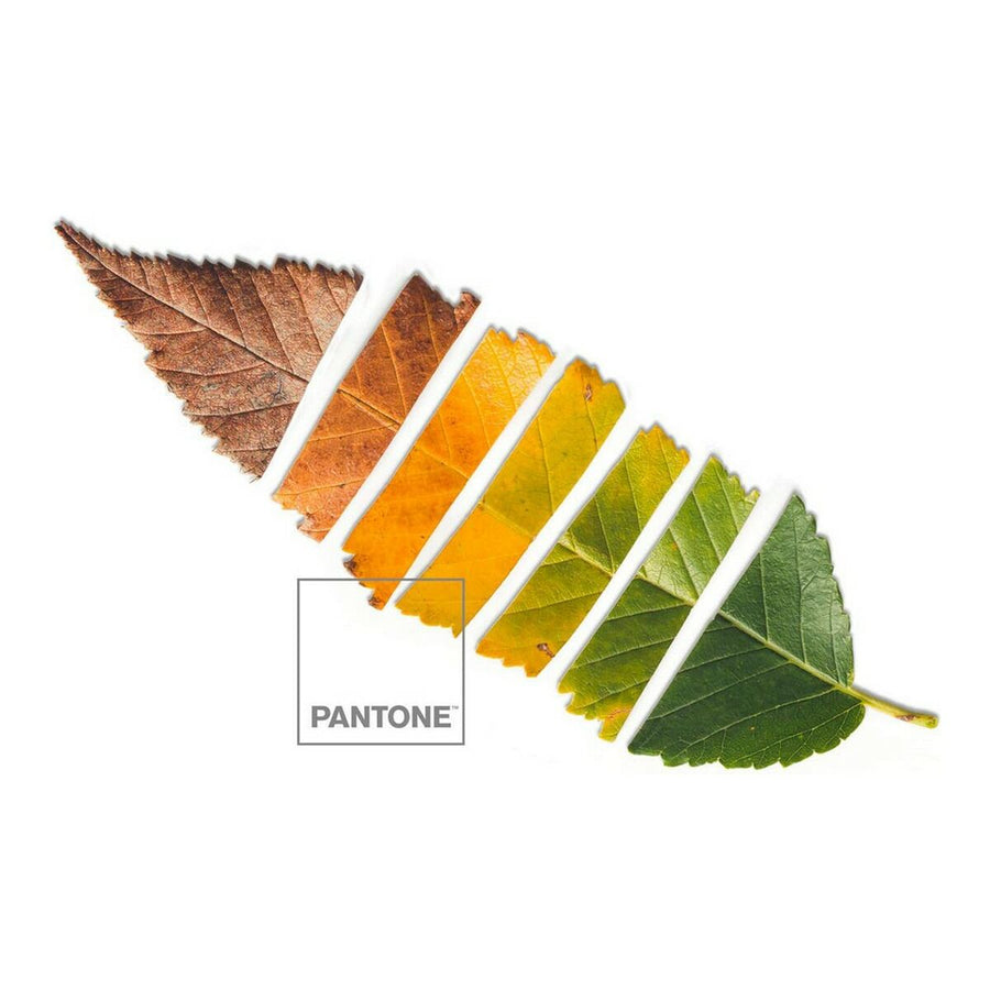 Steppdecke Leaf Pantone