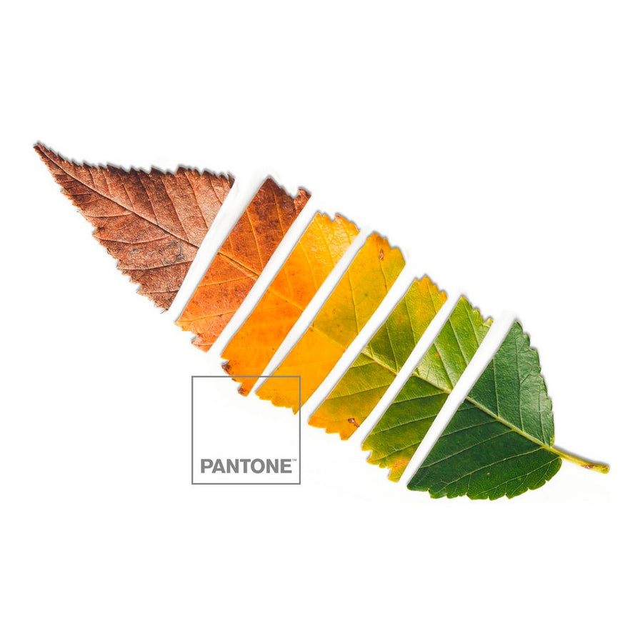 Bettdeckenbezug Leaf Pantone