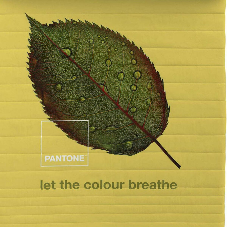 Steppdecke Nature Pantone