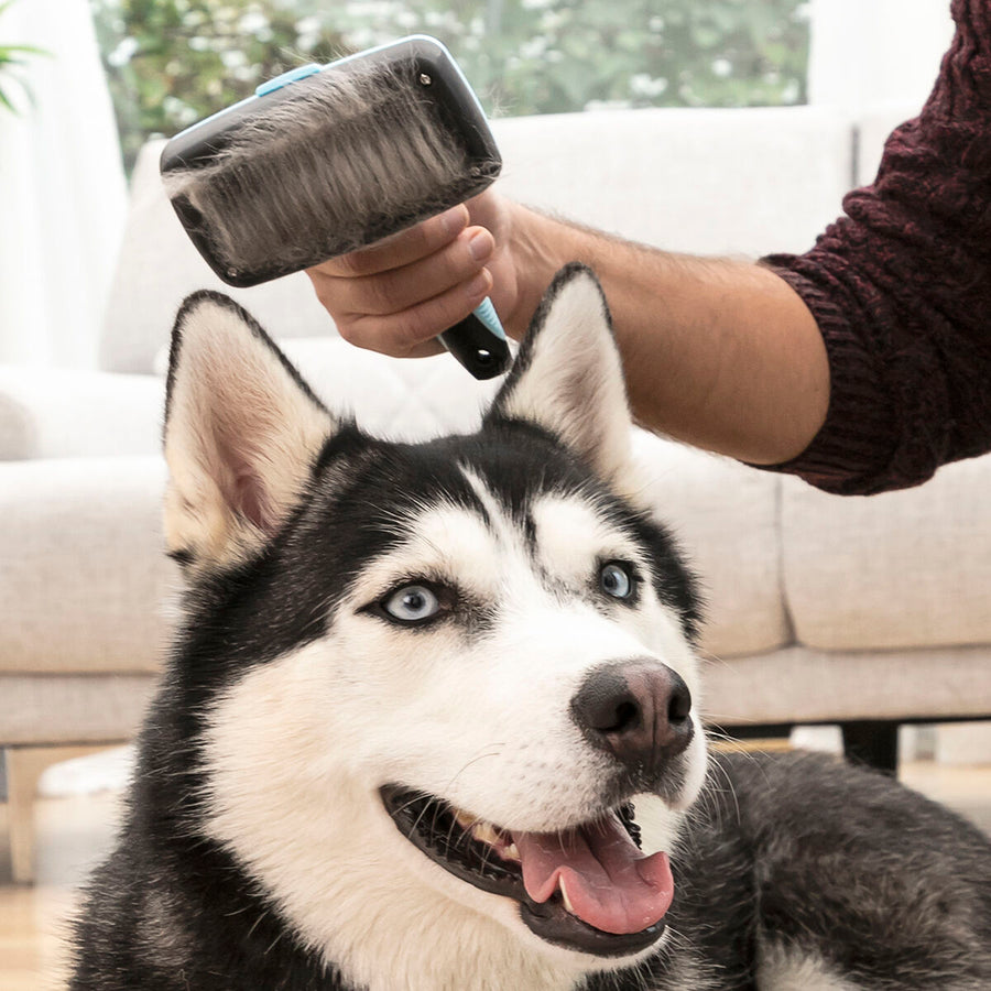 Reinigungsbürste für Haustiere, mit einziehbaren Borsten Groombot InnovaGoods